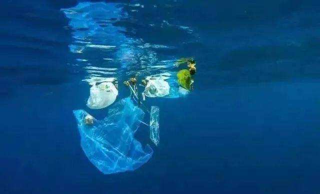 海洋塑料认证对海洋塑料质量管理体系标准是什么？