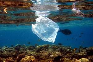 OBP海洋塑料认证质量管理体系要求是什么？