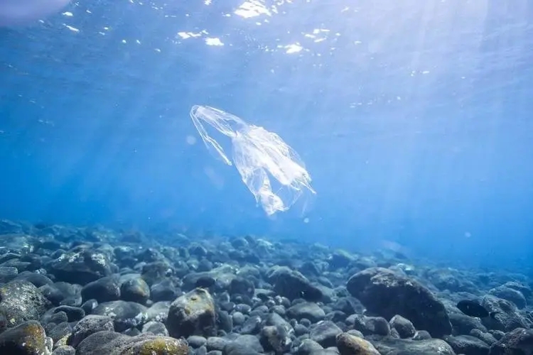 拯救海洋环境 OBP海洋塑料认证义不容辞