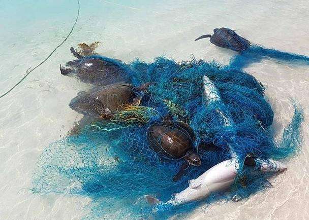 海洋塑料OBP处置不当造成巨大的环境风险