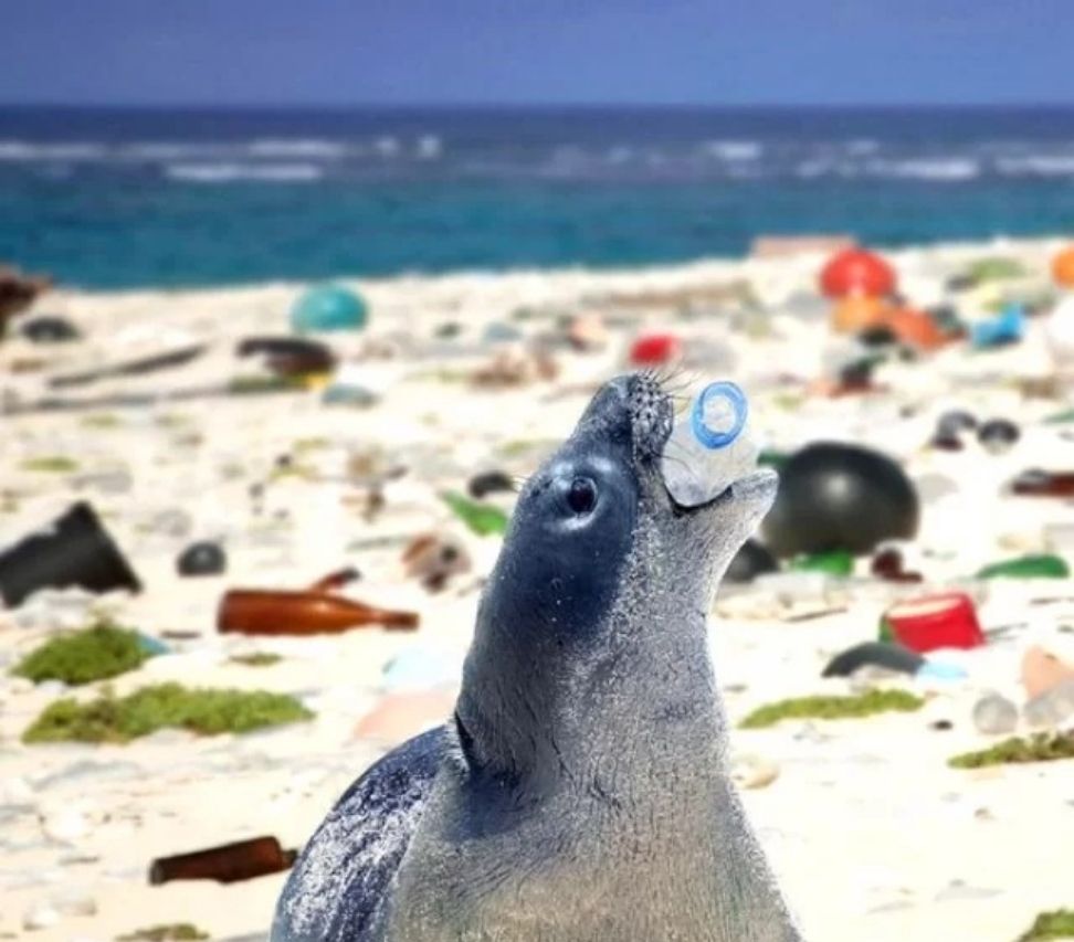 OBP海洋塑料认证小型收藏家的资格标准