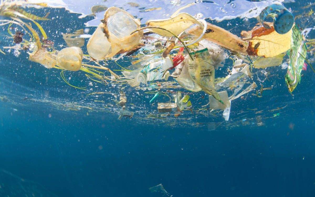 海洋塑料的危害有哪些 怎么避免海洋污染