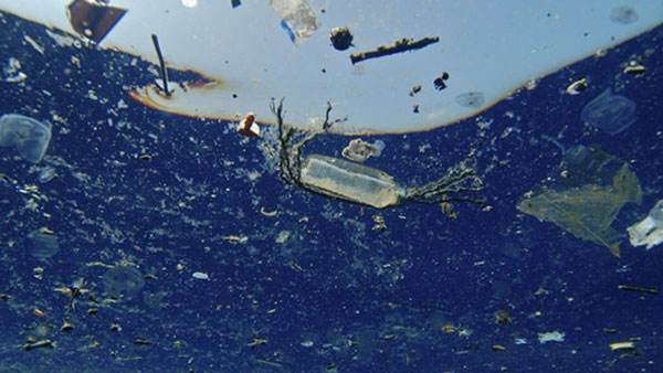 OBP海洋塑料可以应用在哪些方面