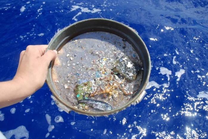 海洋塑料OBP分解一般需要多长时间