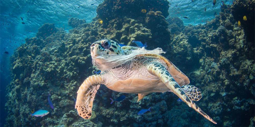 海洋塑料认证如何保证可回收OBP管控和追溯性