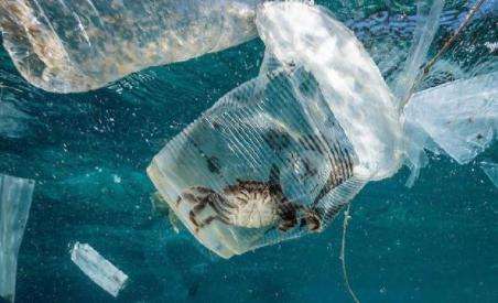 OBP海洋塑料认证对分包商收集要求标准