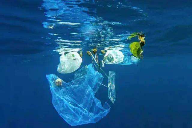 OBP海洋塑料认证索赔声明内容清单