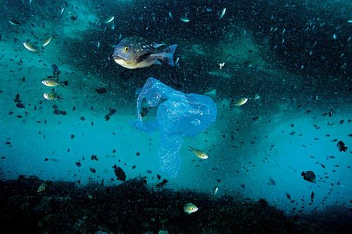 OBP海洋塑料认证计划回收组织定义标准