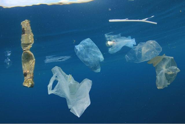 海洋塑料可追溯性评价要求 OBP认证程序组成