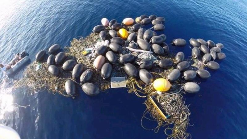 海洋塑料污染的严重程度 OBP标准是什么