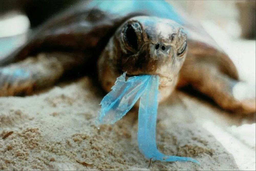 海洋污染防治相关法规 OBP海洋塑料认证计划
