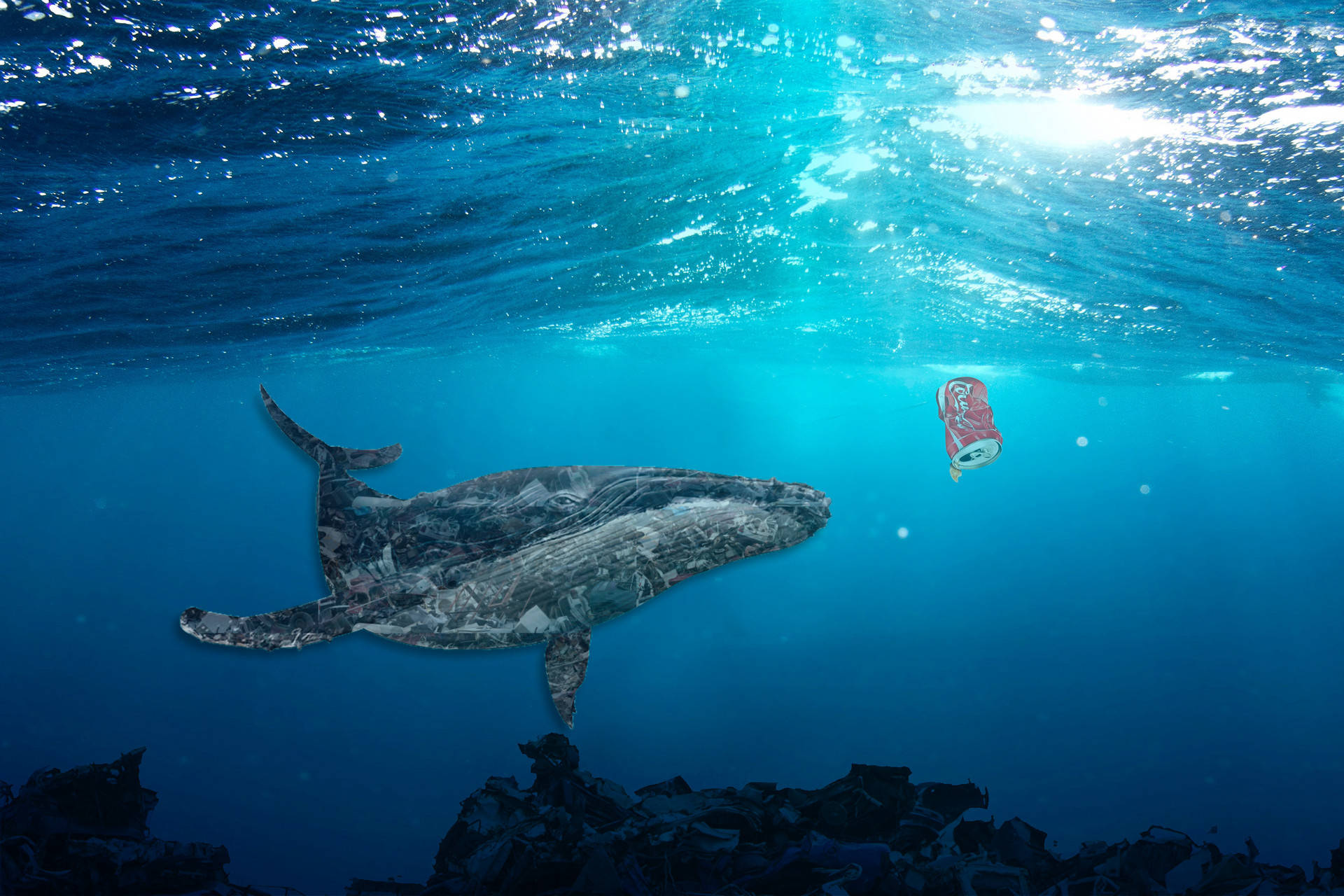 零塑料海洋倡议 OBP海洋塑料中性范围定义