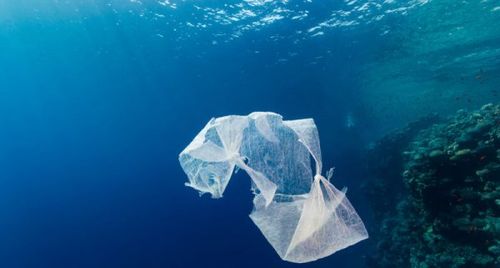  OBP海洋塑料认证对海洋塑料绿色低碳循的体现