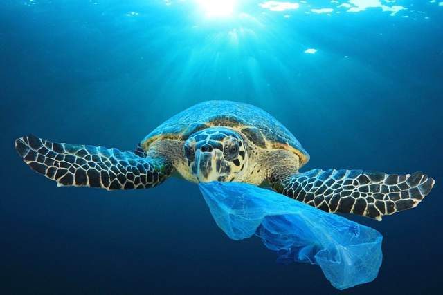 OBP海洋塑料认证实现资源循环利用碳减排