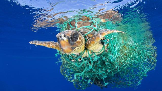 OBP海洋塑料认证充分利用再生资源节能减排