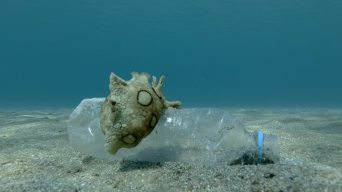 OBP海洋塑料认证对海洋塑料理想的处置方式