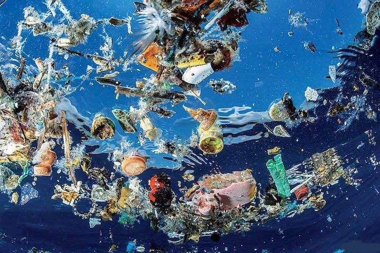 海洋塑料经过审核认证后发放的OBP指标
