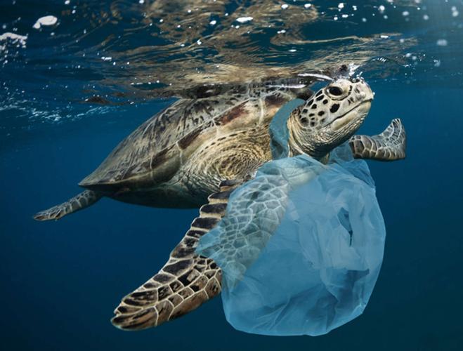 回收OBP海洋塑料材料可以转化成哪些产品