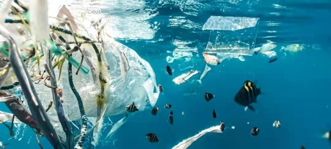 OBP认证让海洋塑料回收溯源状态标准化