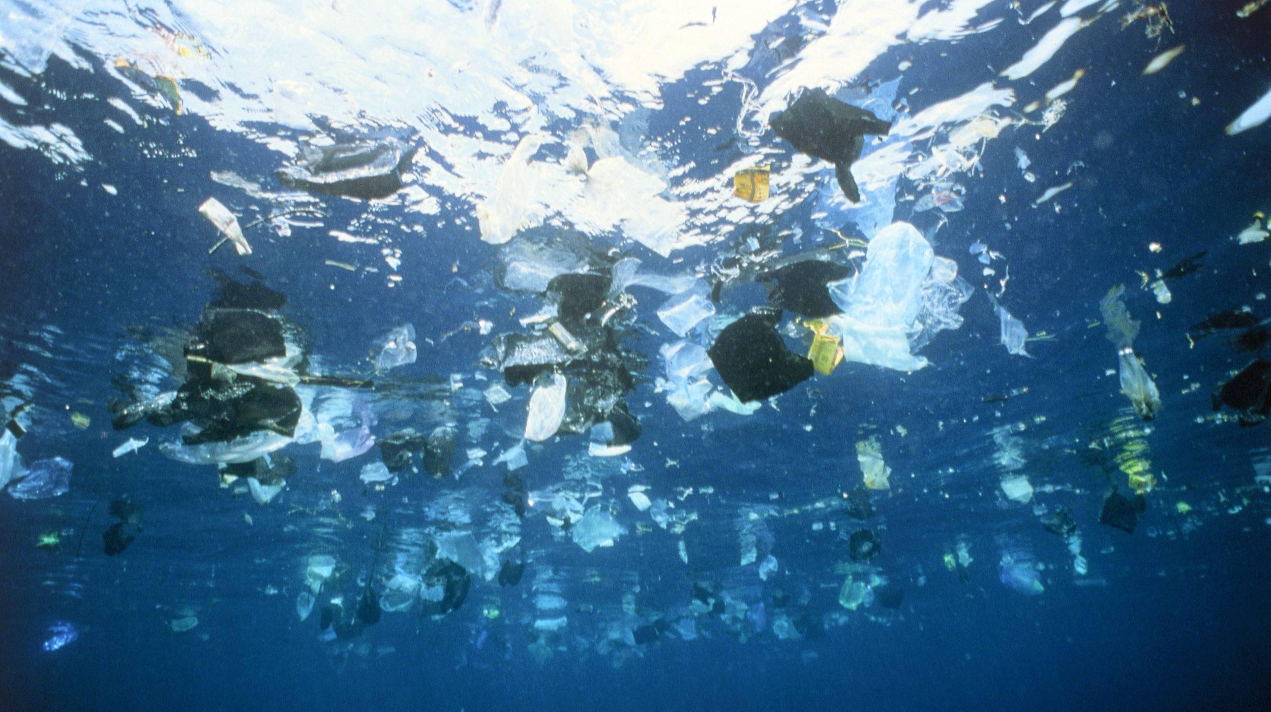 如何解决海洋塑料污染 获得OBP证书企业的优势