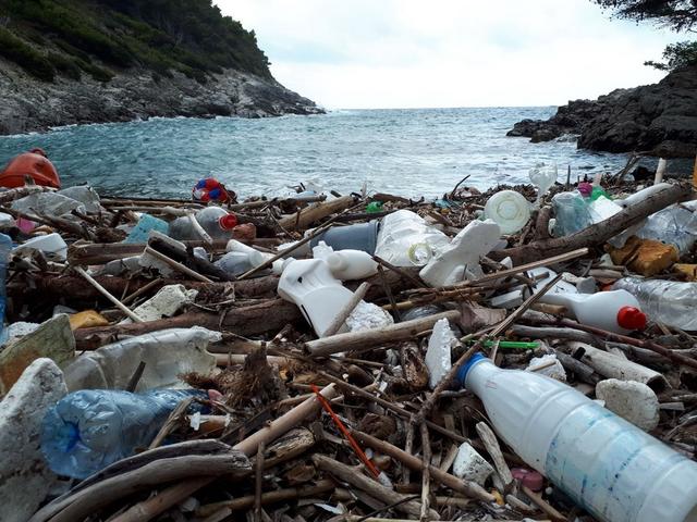 塑料污染有哪些影响 如何解决海洋塑料问题