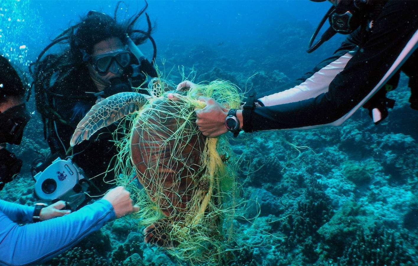 OBP海洋塑料认证要求 减少海洋塑料能做什么