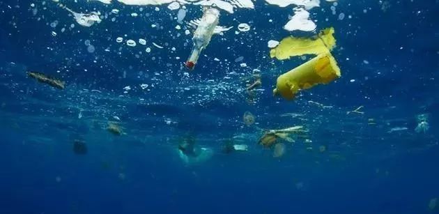 OBP海洋塑料认证对包装原料的可追溯性要求
