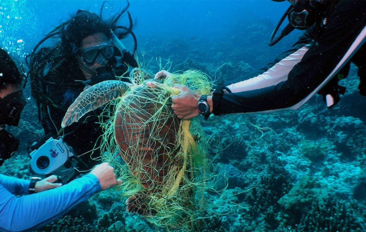 OBP海洋塑料认证对企业的供应链具体要求