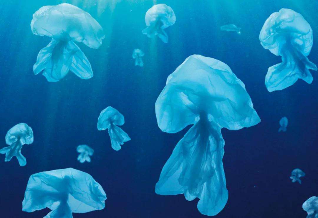 OBP海洋塑料认证 OBP海洋塑料认证